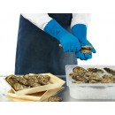 Alphatec 87-029 Blue Food Handling.jpeg ANSELL