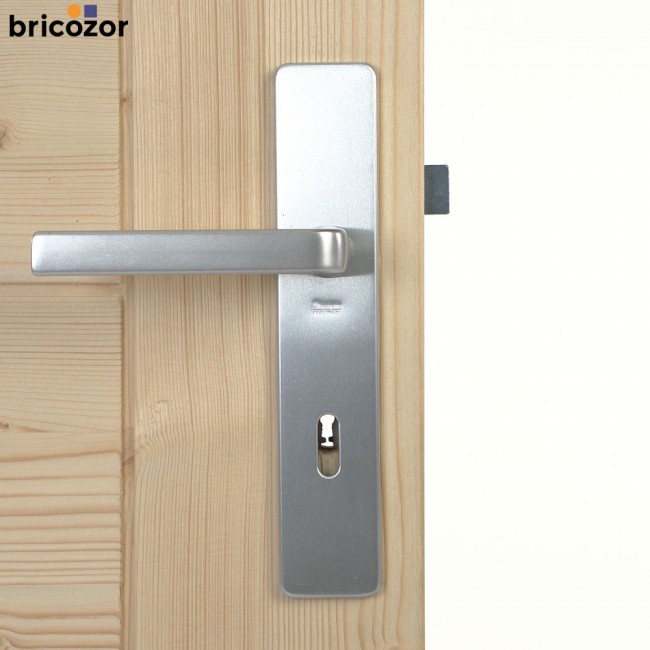 48_2023_06_07_VACHETTE_KAZA_ALUMINIUM_ARGENT_628593_00004_BRICOZOR.jpg VACHETTE