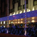 pm_11812_443_443764-9cltbji89g-whr.jpg FESTILIGHT