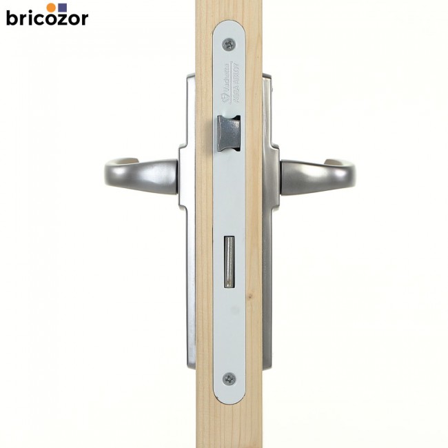 2023_06_02_VACHETTE_MUZE_CHROME_VELOURS_12_00002_BRICOZOR.jpg VACHETTE