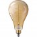 Ampoule LED - 6,5W - E27 - A160 - ambrée - Giant