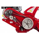 IMG_0055cinghieRTT2.jpg EUROSYSTEMS