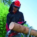 Tronçonneuse électrique - GE-EC 2240 - Bricozor 1.jpeg EINHELL