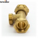 2_C6_221504_00093.jpg BRICOZOR