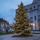 pm_11812_443_443776-i7wetyd6bl-whr.jpg FESTILIGHT