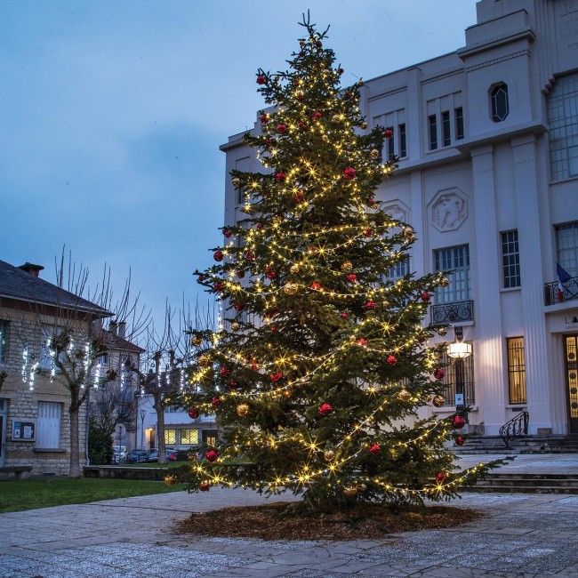 pm_11812_443_443776-i7wetyd6bl-whr.jpg FESTILIGHT