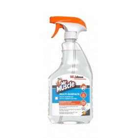 Spray désinfectant - multi-surfaces - Mr Muscle® SC JOHNSON PROFESSIONAL