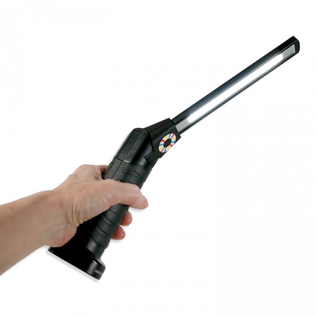 Elwis-D4-pro_baladeuse_bricozor.jpeg ELWIS