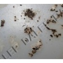 Capture d’écran 2017-03-08 à 17.28.10.jpg DALEP