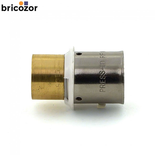 1_A1_144964_00000.jpg BRICOZOR