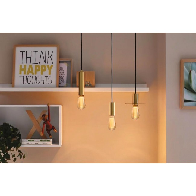 pm_11812_431_431332-0nvqk3d4yh-whr.jpg PAULMANN