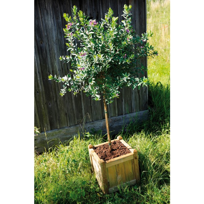 Bac à fleurs en bois carré 23 L Vendôme 40 CERLAND