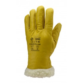 Gants Eurowinter Islande MO2486 - contre le froid Coverguard