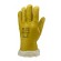 Gants Eurowinter Islande MO2486 - contre le froid
