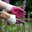 21_PE-142.jpg BLACKFOX