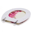 20190612152520-d1e5925b-cu_e520.jpg MSV