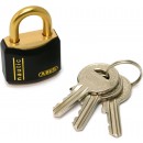 61D113D99uL._AC_SL1417_.jpg ABUS