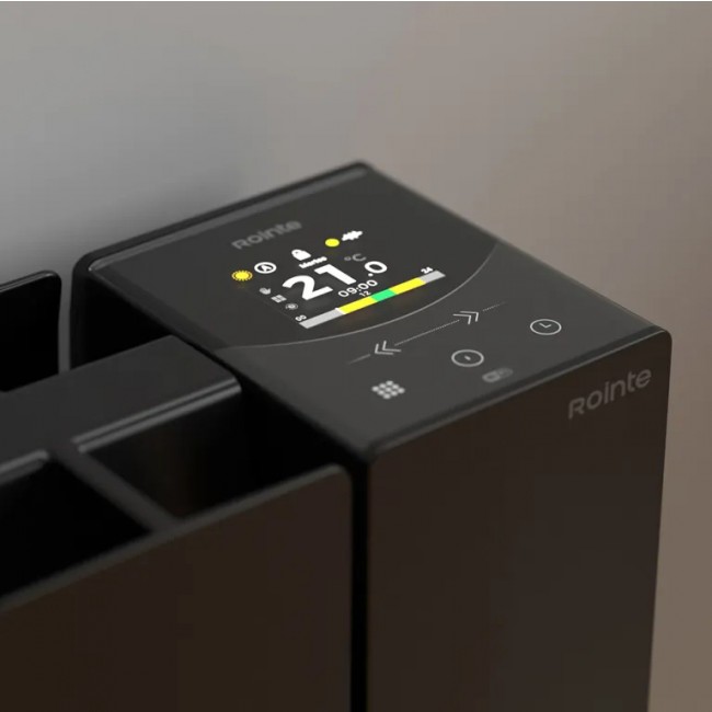 Belize_negro-panel.jpg ROINTE