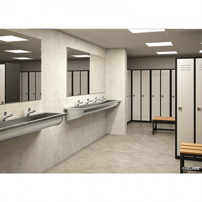 pm_11812_162_162382-visq9yg8hg-800.jpg DELABIE