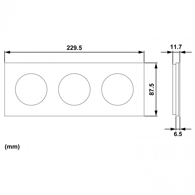 S91n706-3Gang-Cover-Frame-Iconic_1500x1500.jpg SCHNEIDER