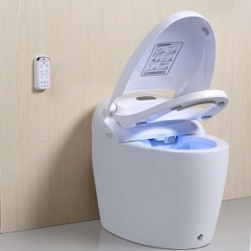 WC Monobloc Japonais - chauffant et design - Luxe Gold TopToilet