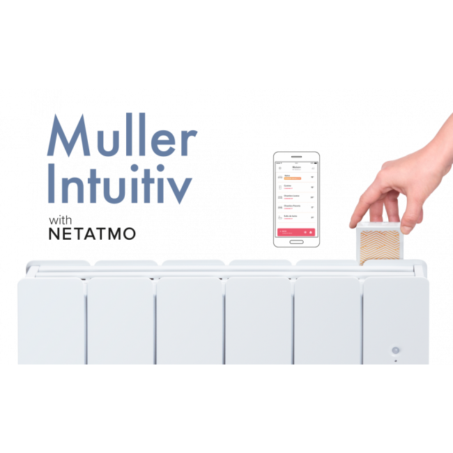 Module_de_connexion_Muller_Intuitiv_avec_Netatmo_2_bricozor.png Noirot