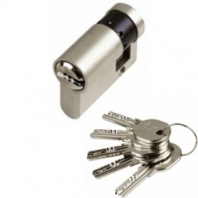 Demi cylindre - 30 x 10 mm - ISR6 - varié- laiton nickelé ISEO