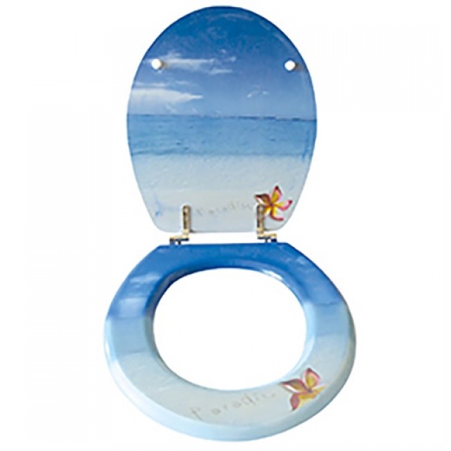 20230127121209-a251be30-cu_e520.jpeg MSV