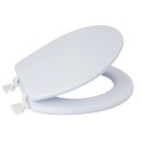 20210713143141-768efd34-cu_e520.jpeg MSV