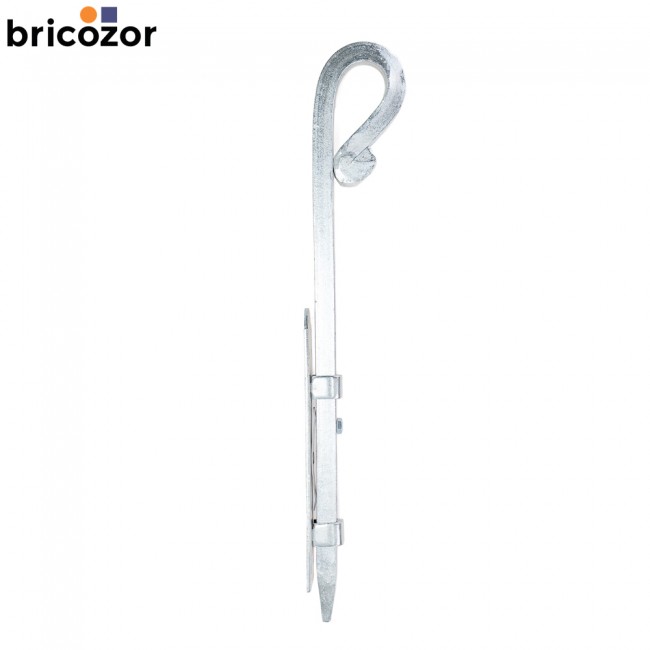 4_A2_180998_BZ_6493.jpg BRICOZOR