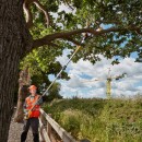 Élagueuse sur perche – XR 18V – 5Ah - DCMPS567P1-QW 3.jpeg DEWALT