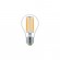 Ampoule LED 4W - E27 - Master LEDbulb