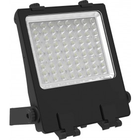 Projecteur LED asymétrique à puissance réglable Havasu Kosnic