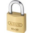 65-20.jpg ABUS