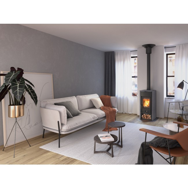 poele-a-bois-asiabii-ambiance-la-nordica.jpeg LA NORDICA EXTRAFLAME