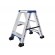 Marchepied double marche Alpha 2x3 marches