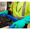 821-adicional01.jpg.jpg JUBA