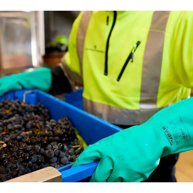 821-adicional01.jpg.jpg JUBA