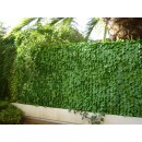 Haie-Feuilles-007.jpg JET7GARDEN