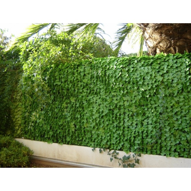 Haie-Feuilles-007.jpg JET7GARDEN