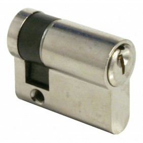 Demi cylindre - 30 x 10 mm- TE 5 - sur passe général - laiton nickelé TESA Sécurité