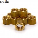 2_C3_732818_00094.jpg BRICOZOR