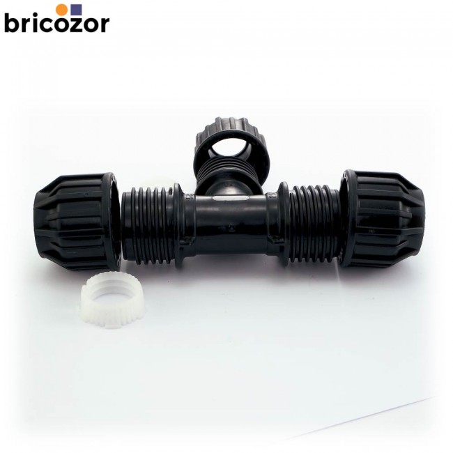 3_E4_373920_00187.jpg CODITAL