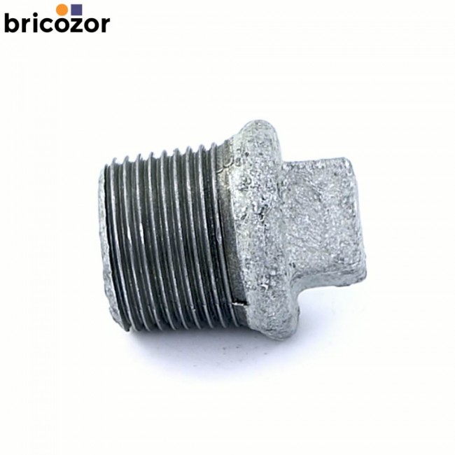 1_F1_Z15032_00000.jpg CODITAL