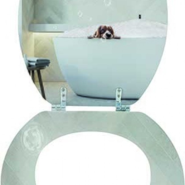 20201008094044-79a7a5ba-cu_e520.jpg MSV