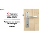 POIGNEES_BUDGET_VACHETTE_CHAMPAGNE(0-00-02-21)_BRICOZOR.jpg VACHETTE