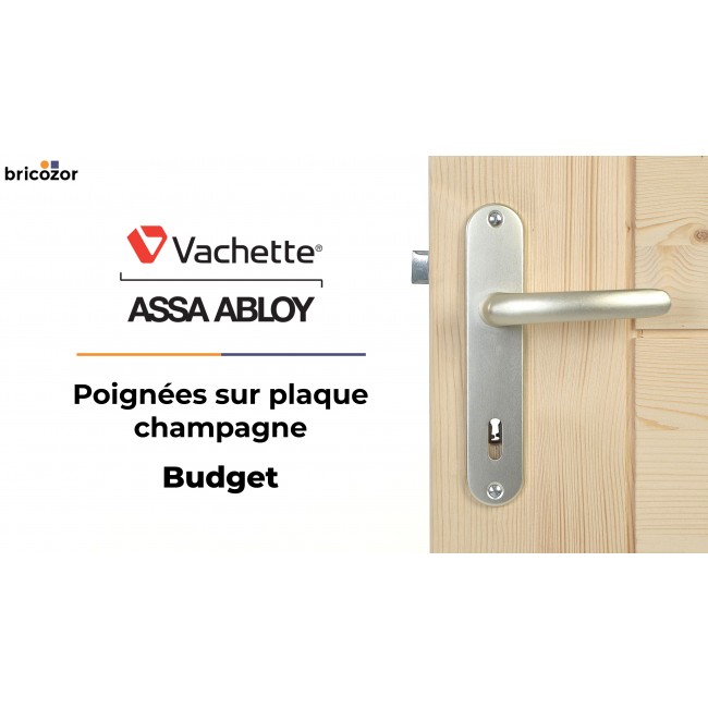 POIGNEES_BUDGET_VACHETTE_CHAMPAGNE(0-00-02-21)_BRICOZOR.jpg VACHETTE