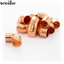 2_A1_732734_00093.jpg BRICOZOR