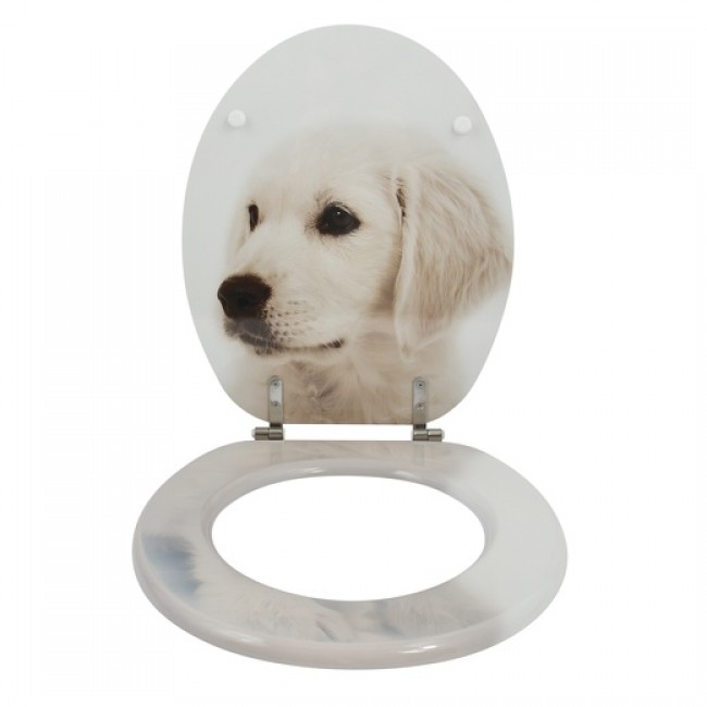 20210507152436-22145be0-cu_e520.jpg MSV