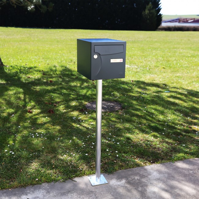 66206406-A-02.jpg.jpg RENZ